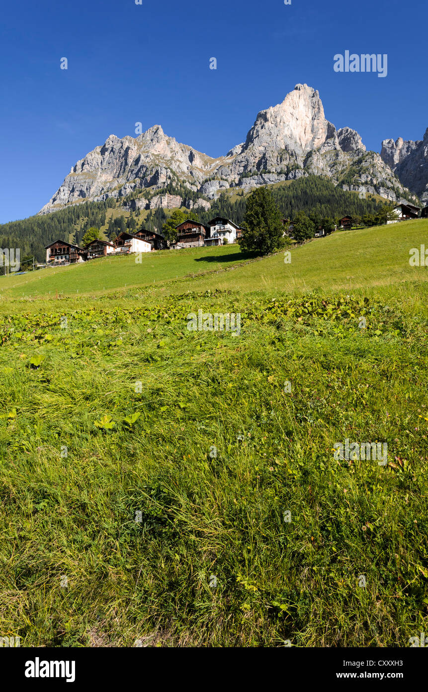 Insediamento in prossimità di Selva di Cadore, Dolomiti, Italia, Europa Foto Stock
