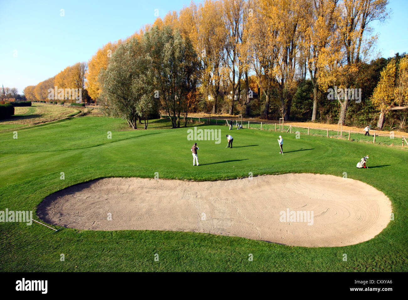 Schloss Horst campo da golf, verde della corsia 4, Par 4 Gelsenkirchen, Germania Foto Stock