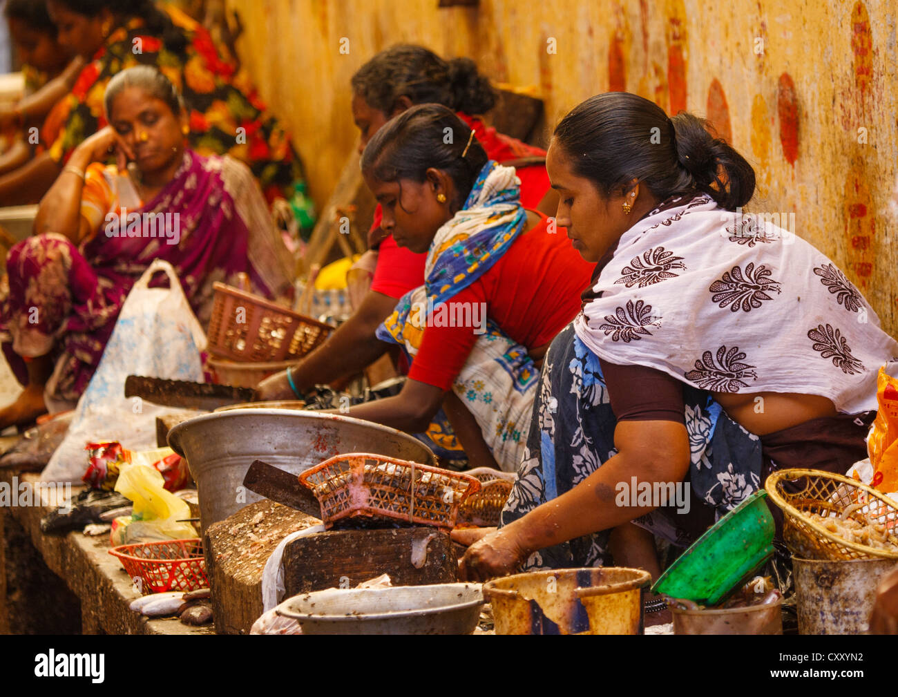 Venditori di pesce Squatting dietro di loro si spegne a Pondicherry Mercato, India Foto Stock