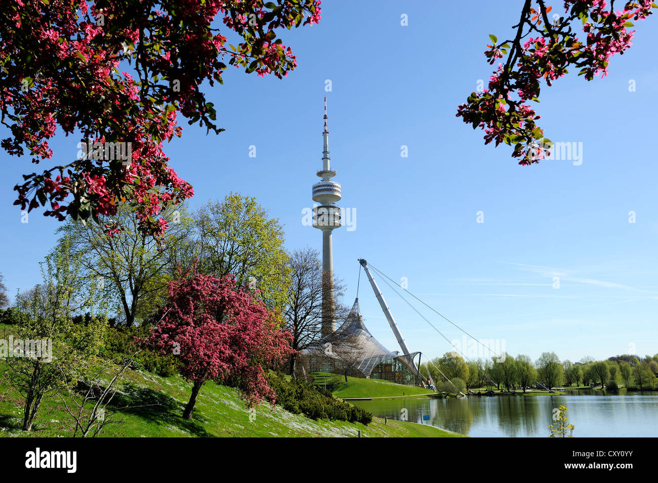 Torre Olympiaturm, la Torre della TV, Olympiapark, Monaco di Baviera, PublicGround Foto Stock