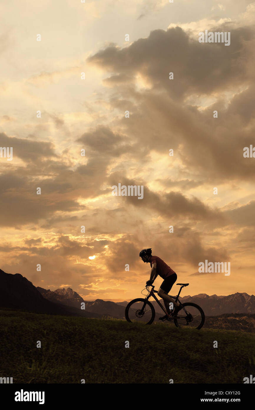 Ciclista, mountain biker, silhouette, montagne, sunset Foto Stock