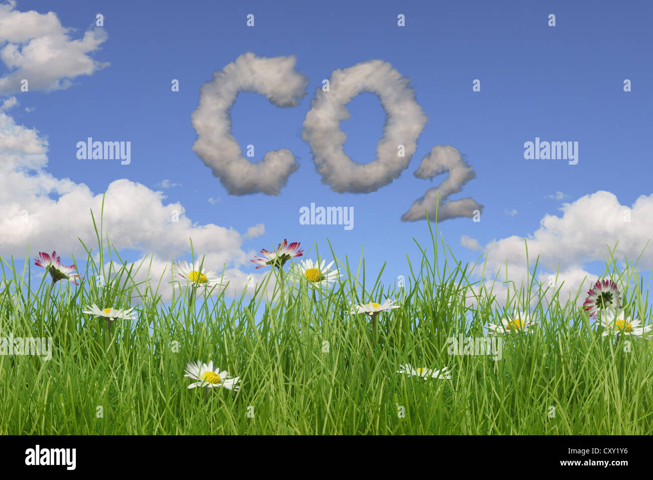 Campo di fiori, nuvole formando le lettere "CO2", illustrazione Foto Stock