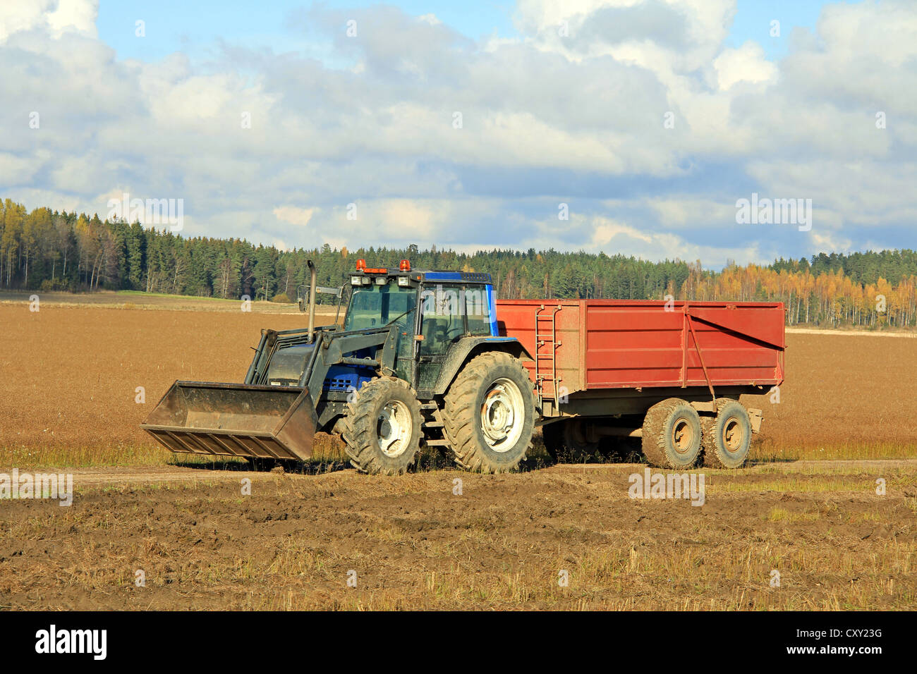 Blue trattore e rimorchio agricolo sul lino o linum campo nel raccolto in Finlandia. Foto Stock