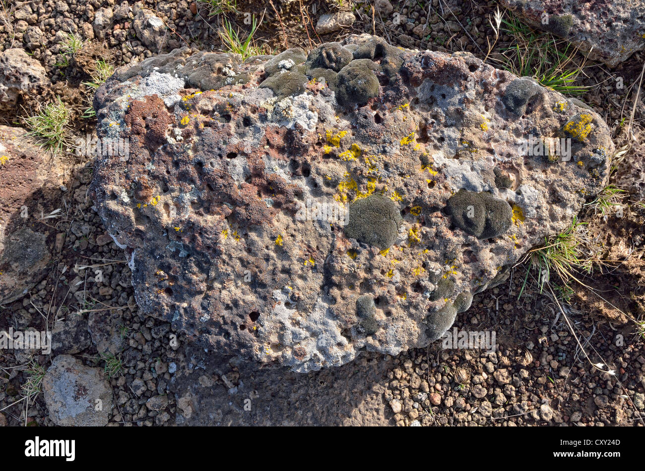 Massi lavici coperti con vari licheni, Bennett colline, Gooding, Highway 46, Idaho, Stati Uniti d'America Foto Stock