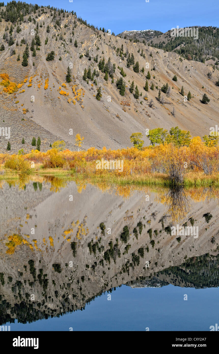 Riflessioni nel Trail Creek, Trail Creek Valley, Sun Valley, Idaho, Stati Uniti d'America Foto Stock