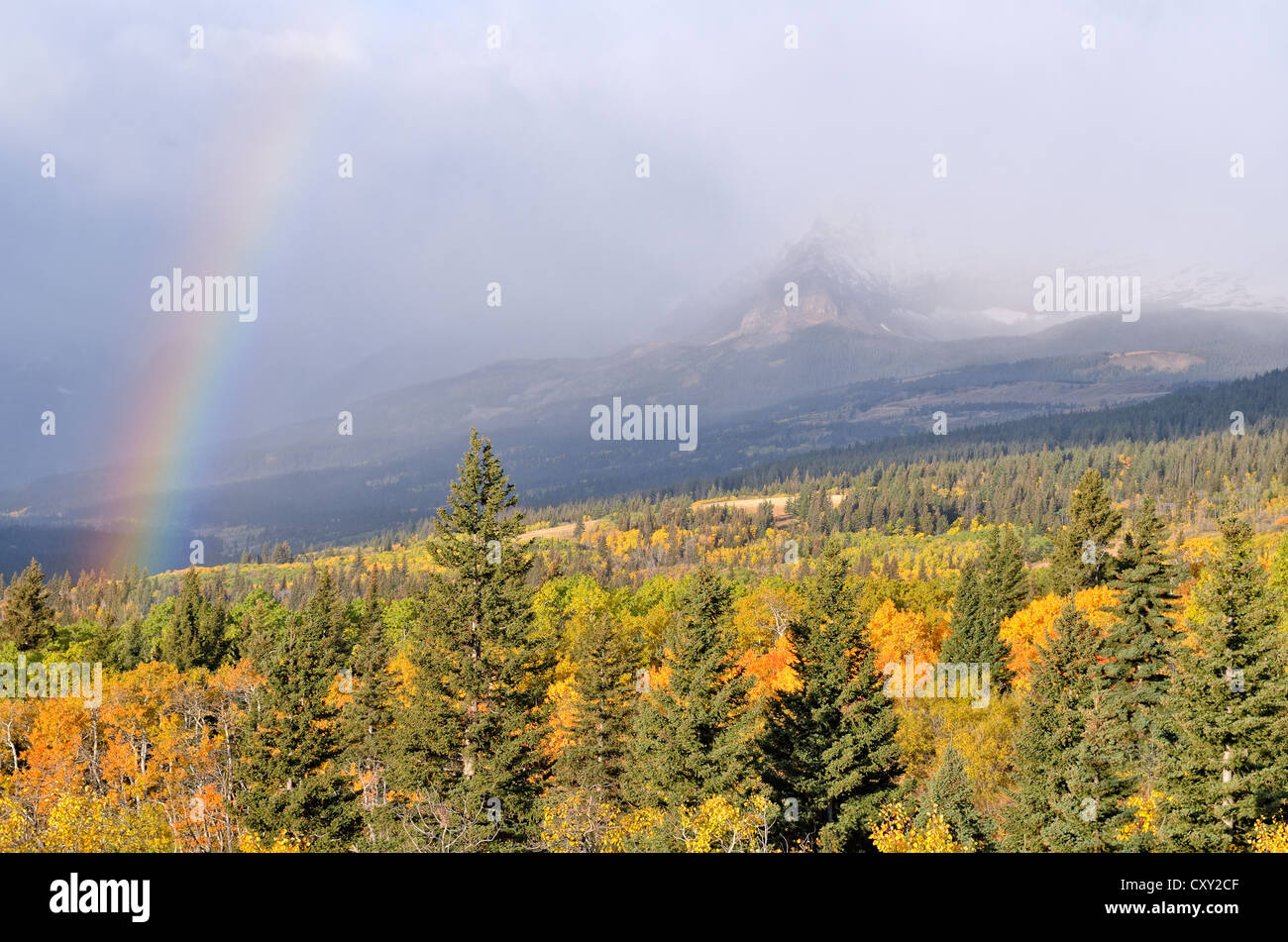 Rainbow, vista dalla strada statale 89 verso il Parco Nazionale di Glacier, Montana, USA Foto Stock