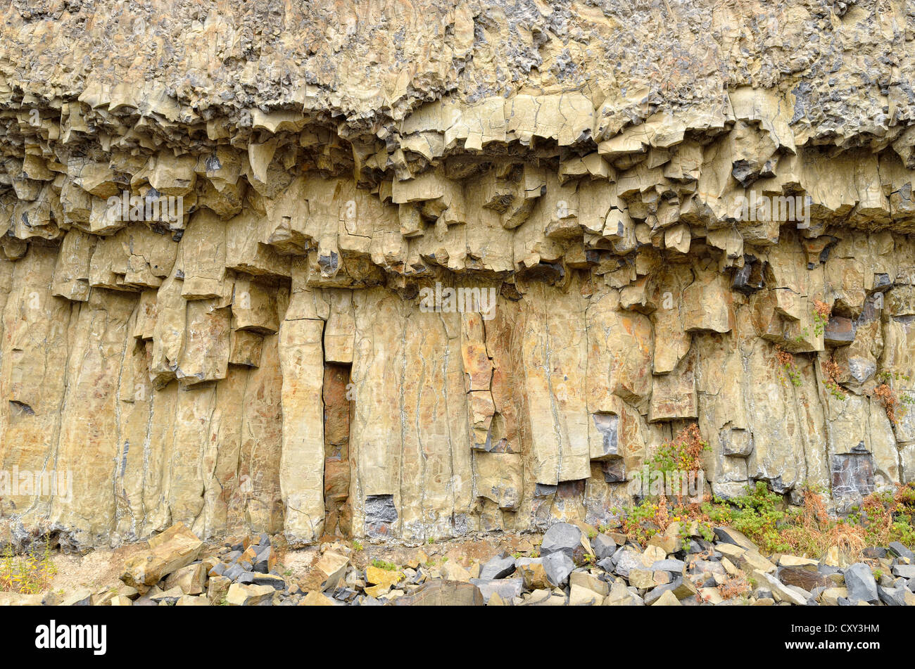Colonne esagonali, basalto formazioni rocciose su Torre Creek, nelle vicinanze della Torre caduta, il Parco Nazionale di Yellowstone, Wyoming USA Foto Stock