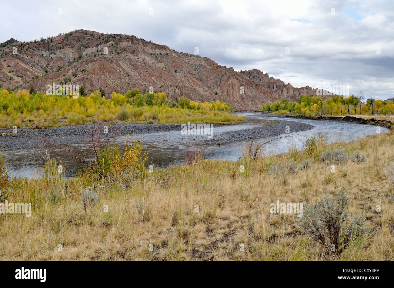 North Fork Shoshone River a Wapiti, Wyoming USA Foto Stock