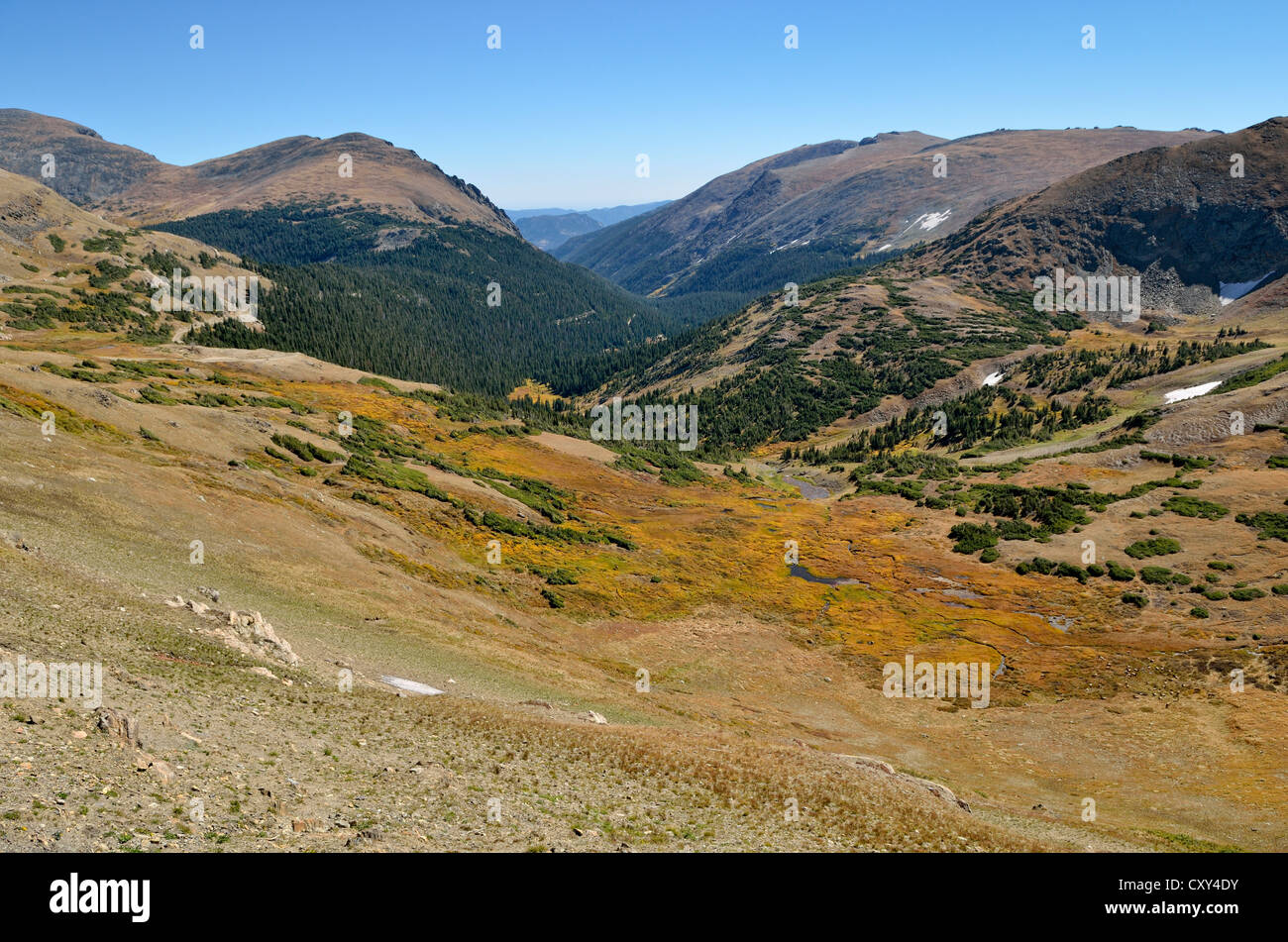 Vista dall'Alpine Visitor Center ai vecchi Fall River Valley con montatura Capin, sinistra e Sundance Mountain, destra Foto Stock