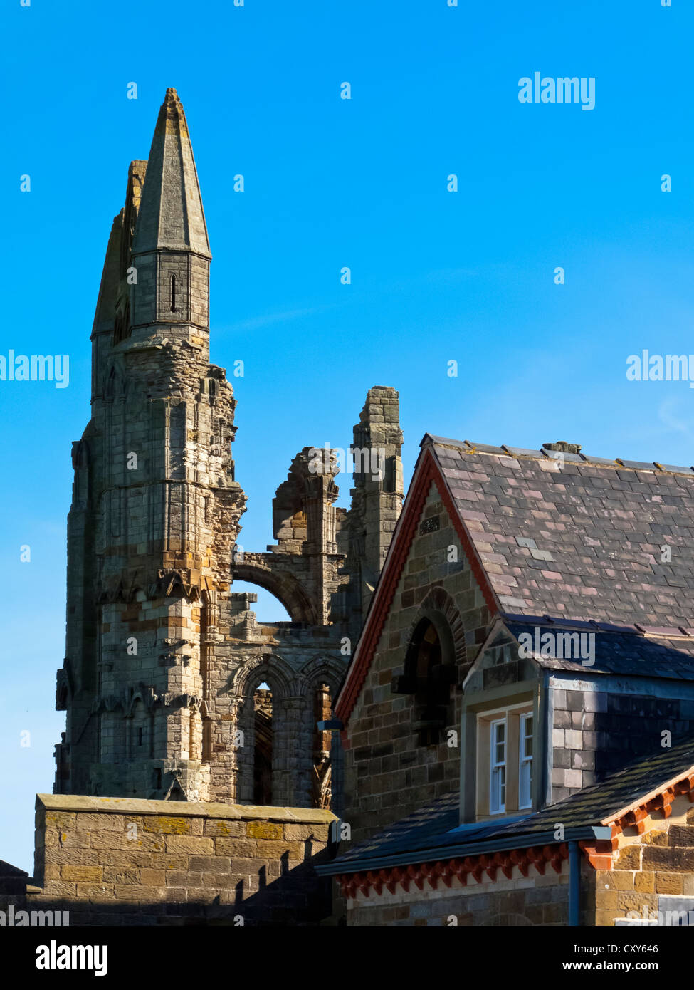 Dettaglio delle rovine di Whitby Abbey nel North Yorkshire England Regno Unito costruito nel 657 d.c. e disestablished 1538 Foto Stock