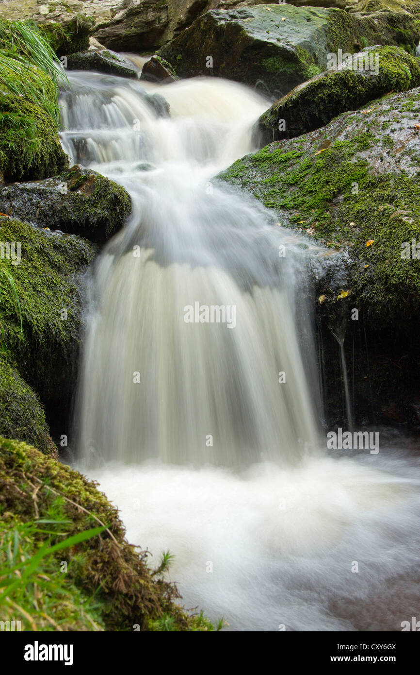 Al Powerscourt Waterfall, County Wicklow, Repubblica di Irlanda Foto Stock