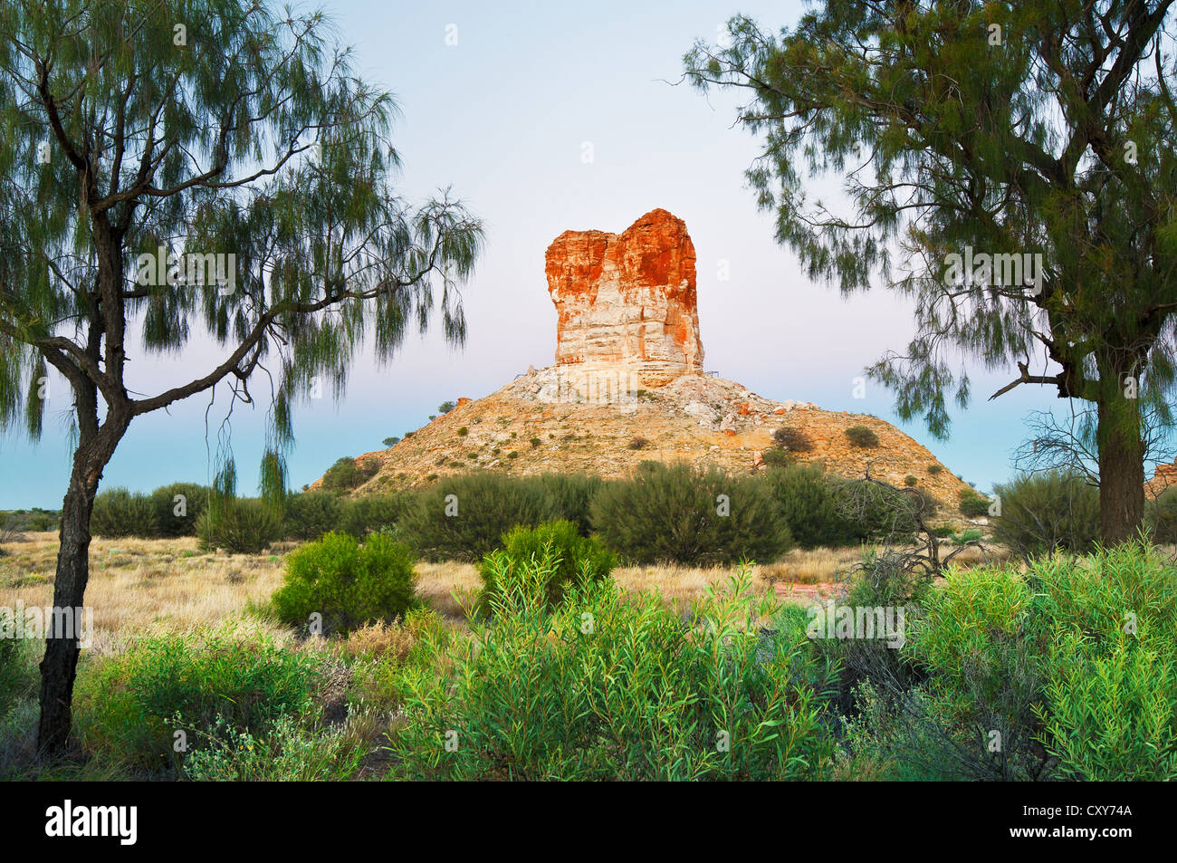 Camere pilastro incorniciata da due querce del deserto. Foto Stock