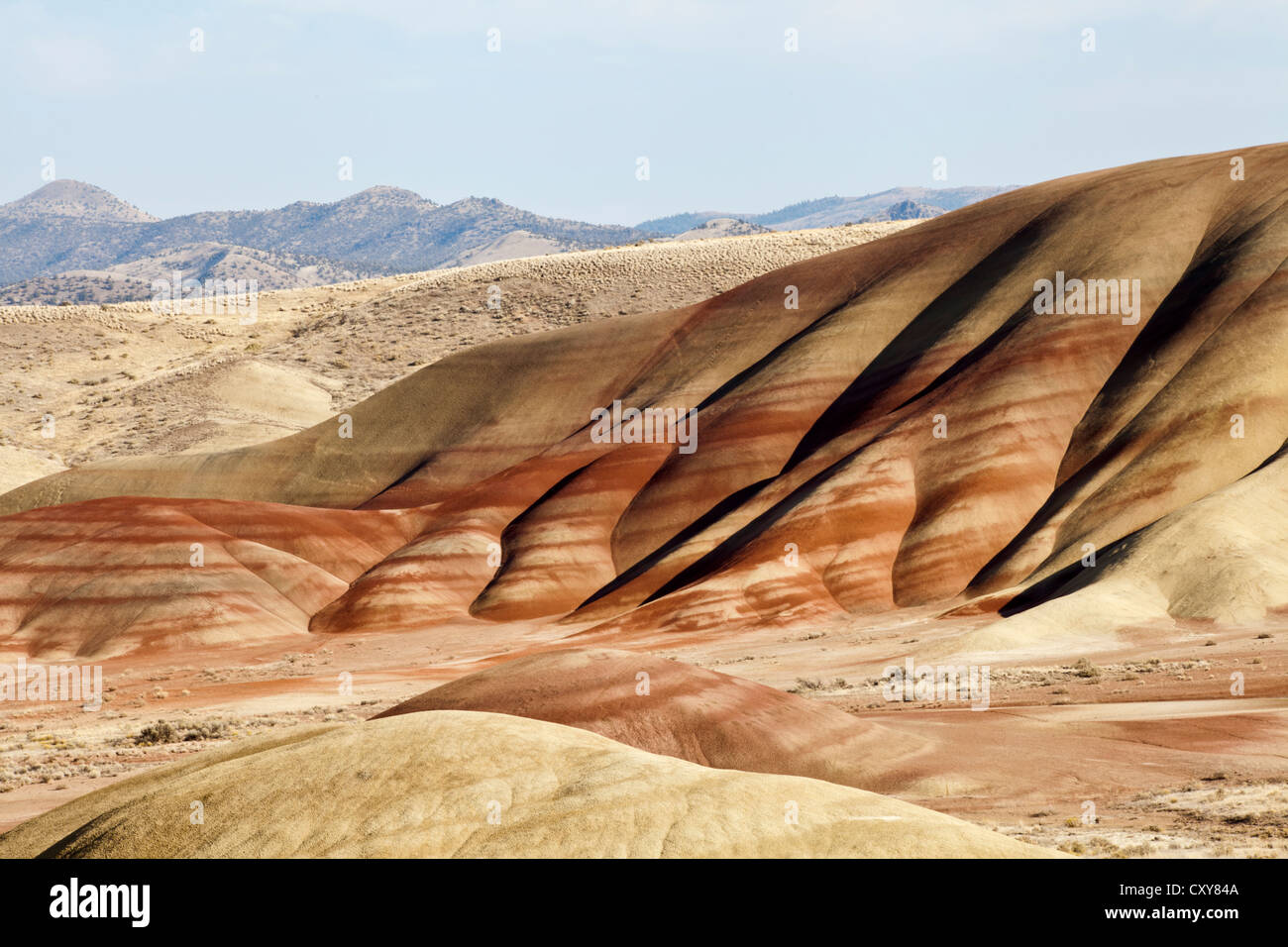 Il dipinto di colline, John Day Fossil Beds, Wheeler County, Oregon, Stati Uniti d'America monumento nazionale Foto Stock