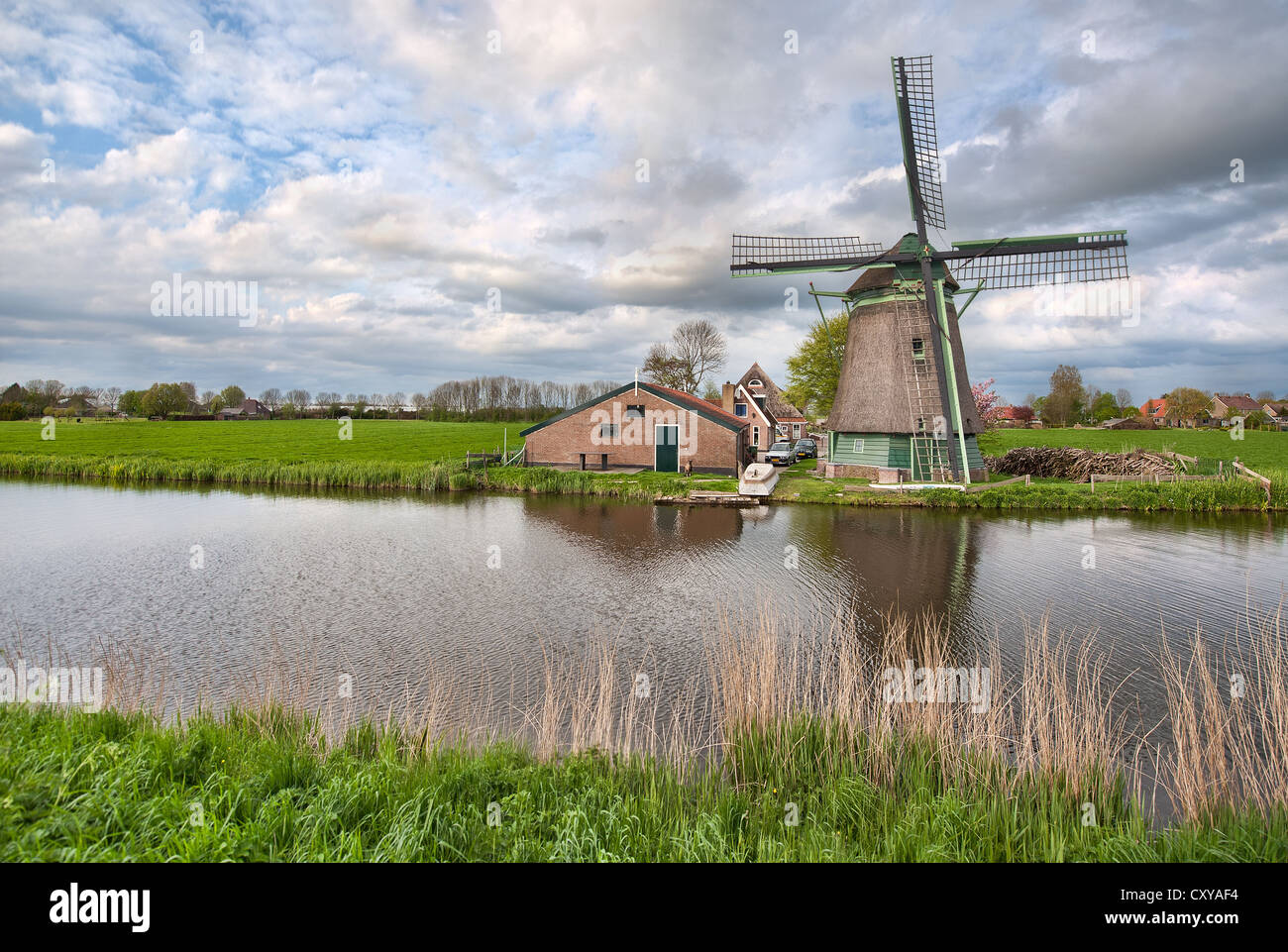 Un tipico mulino a vento olandese su una farm da un canale su un giorno nuvoloso Foto Stock