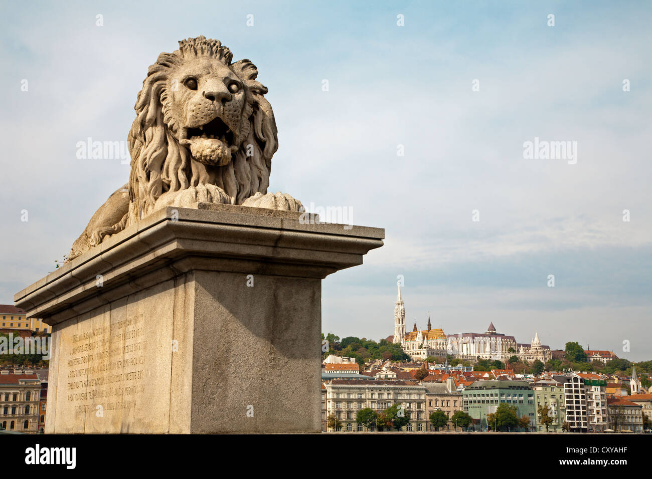 Budapest - lion statua dal Ponte delle Catene Foto Stock