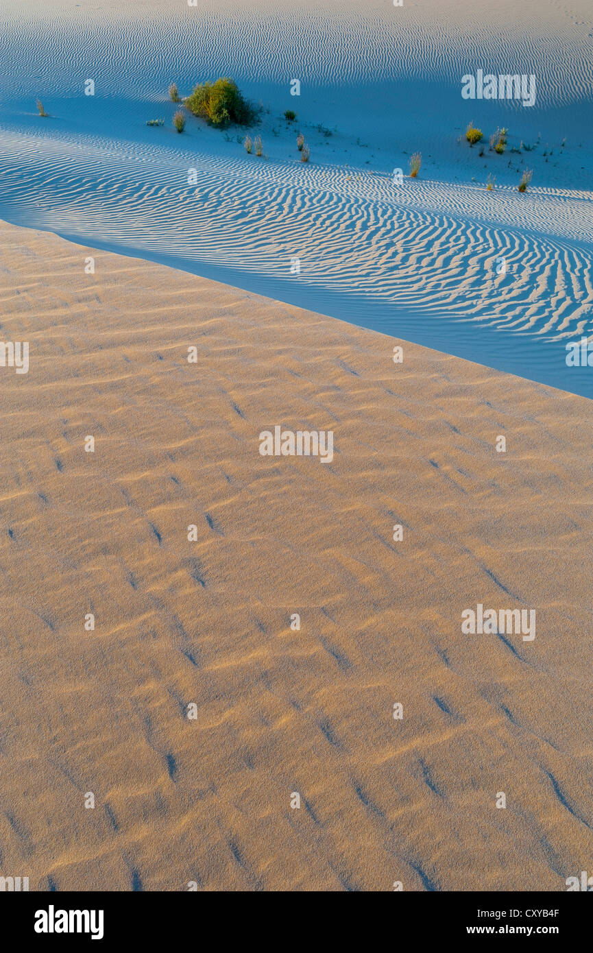 Dune di sabbia sulle pareti della Cina al Mungo National Park, New South Wales, Australia Foto Stock