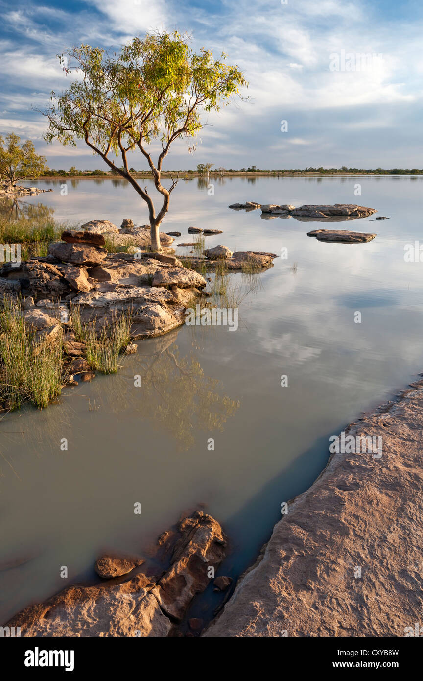 La mattina presto sulla riva del lago di Peery a Paroo-Darling National Park, New South Wales, Australia Foto Stock