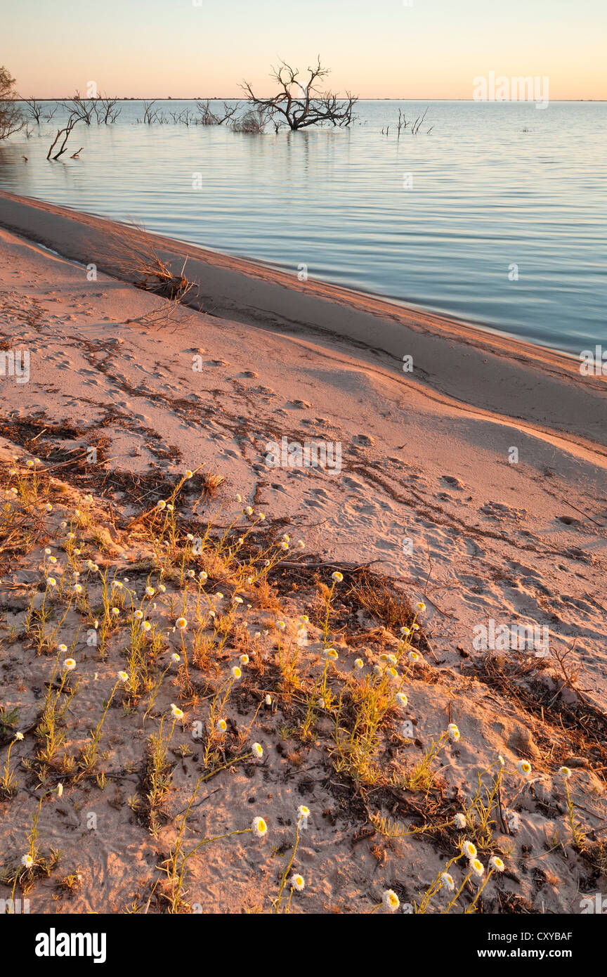 Lago Cawndilla in Kinchega National Park, New South Wales, Australia Foto Stock