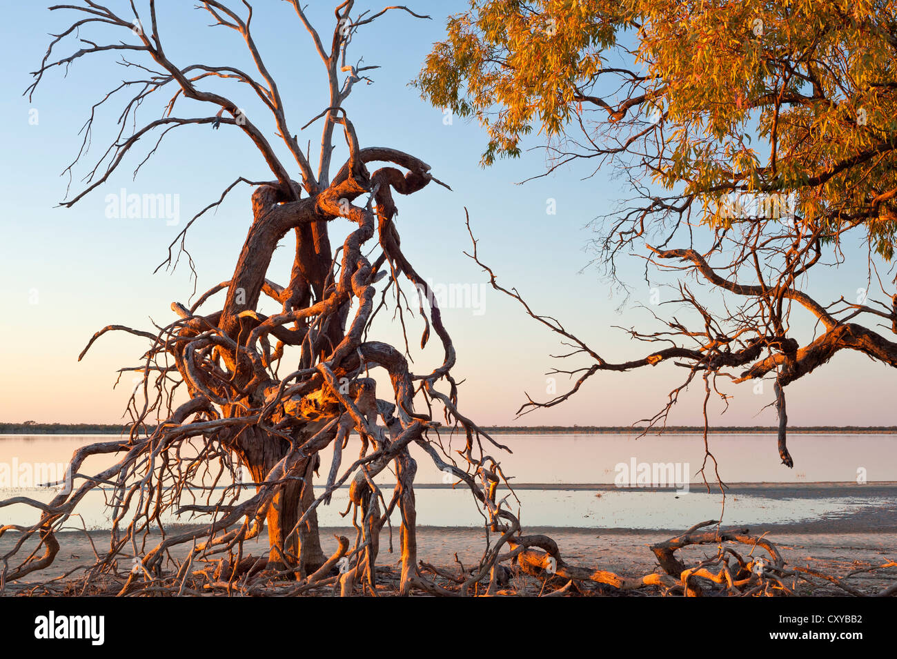 Lago di Emu in Kinchega National Park, New South Wales, Australia Foto Stock