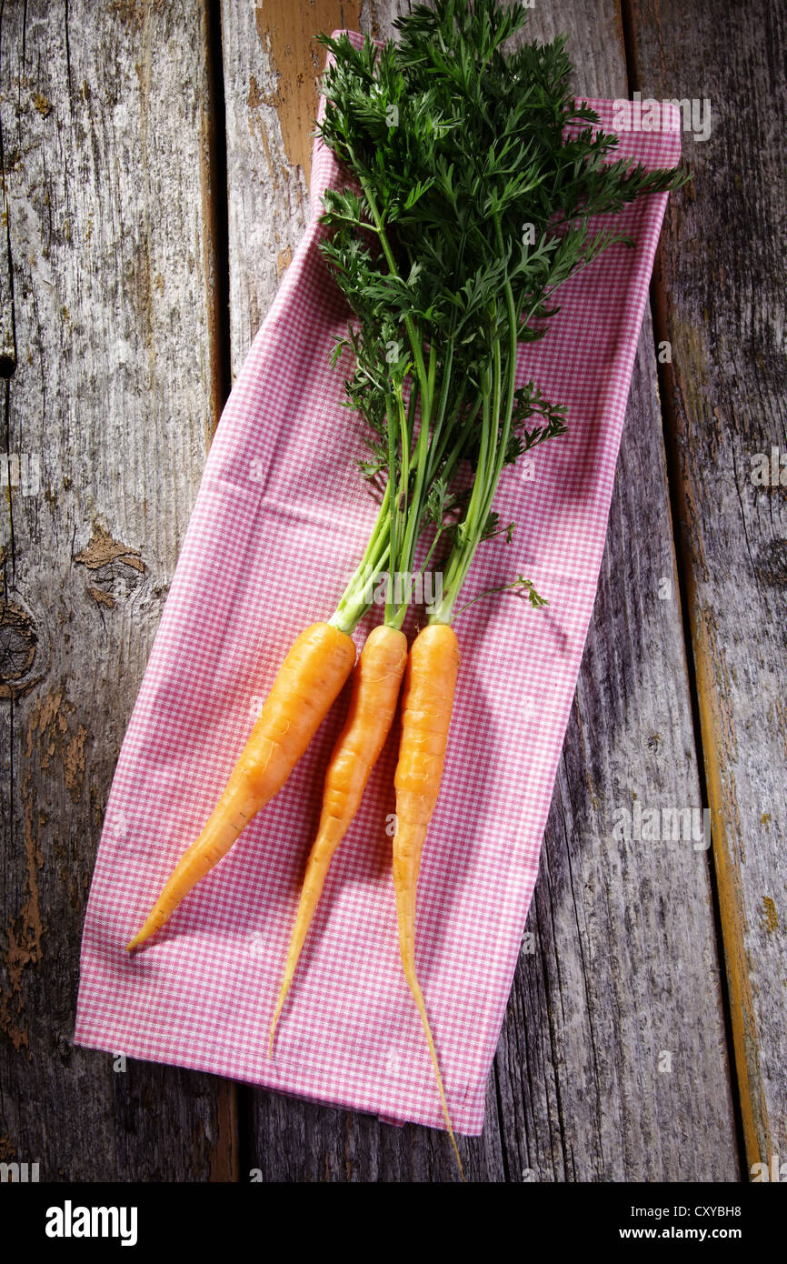 Le carote fresche con un panno da cucina in legno rustico Foto Stock