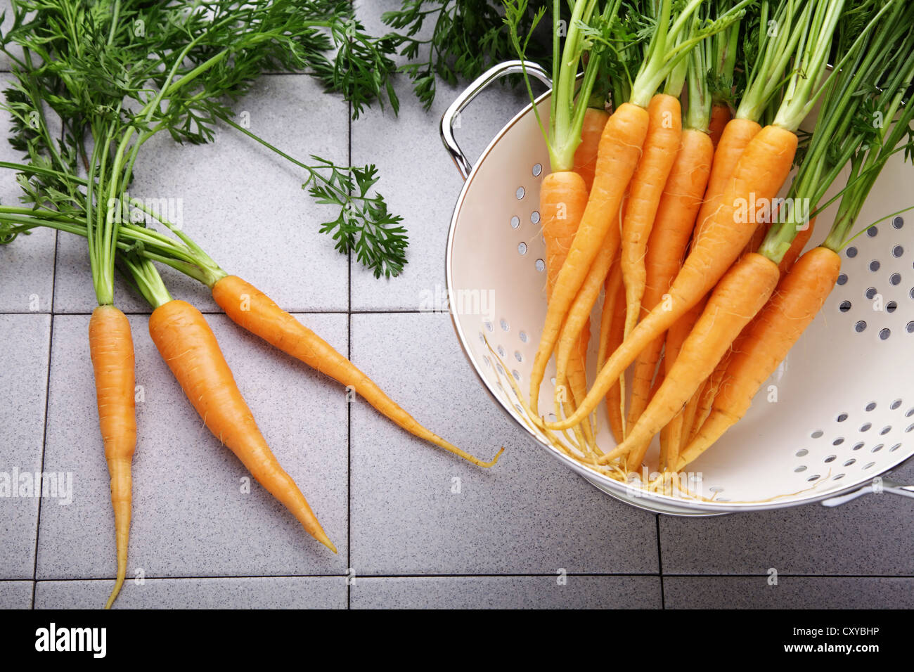 Le carote fresche, carote in uno scolapasta Foto Stock