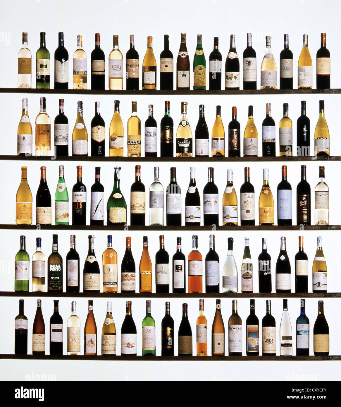Diverse bottiglie di vino in un ripiano Foto Stock