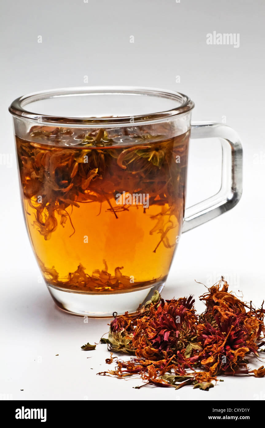 Oswego tea un American herbal off il balsamo di Bee Foto Stock