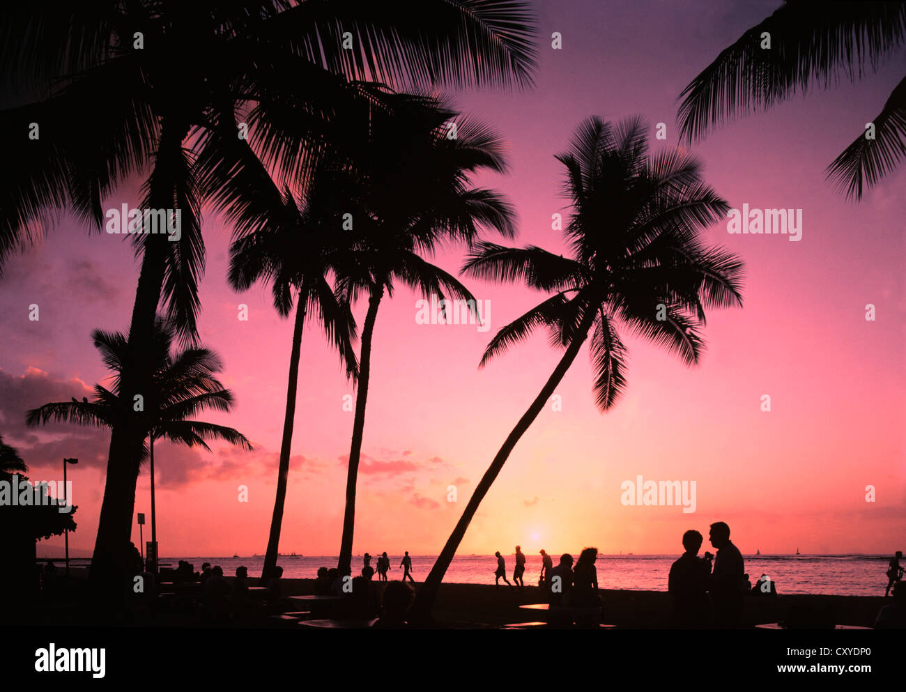 Thailandia. Isola di Phuket. Tramonto sul lungomare con le persone e con le palme profilarsi. Foto Stock