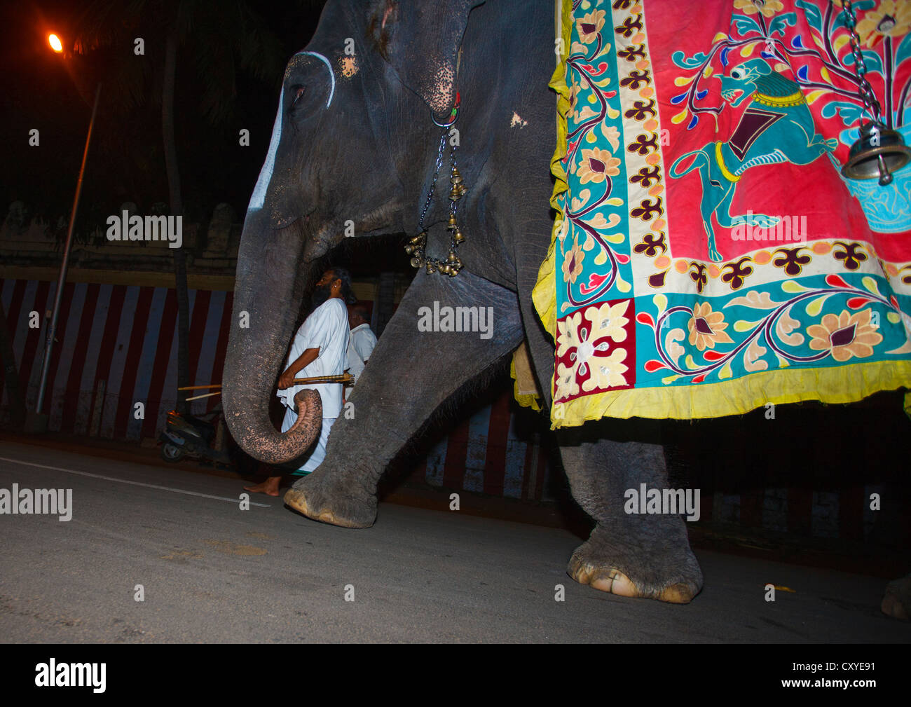 Elefante decorato con la sua Cornacs avvicinamento da Sri Ranganathaswamy Tempio per una cerimonia, Trichy, India Foto Stock