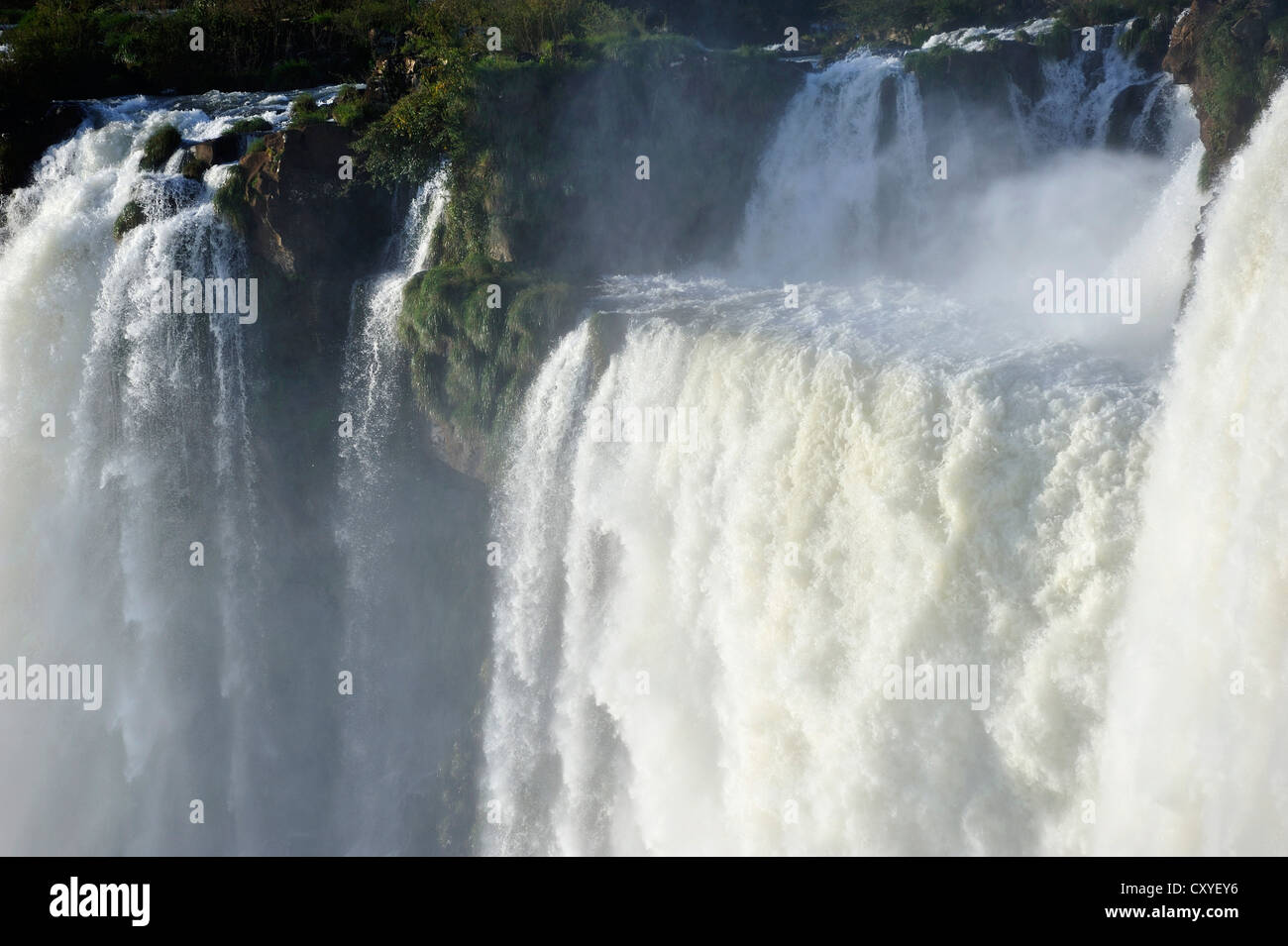 Cascades con la Gola del Diavolo, la Garganta del Diablo, Iguazu o cascate Iguacu, Sito Patrimonio Mondiale dell'UNESCO, al confine del Brasile Foto Stock