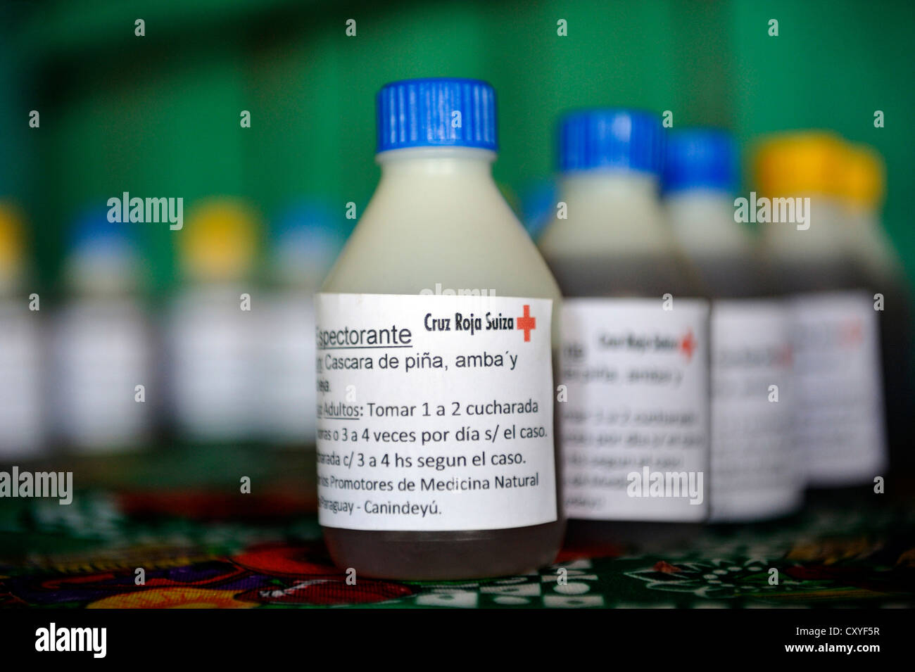 Medicina, realizzato da erbe del villaggio giardino di piante officinali, in bottiglie di plastica Foto Stock