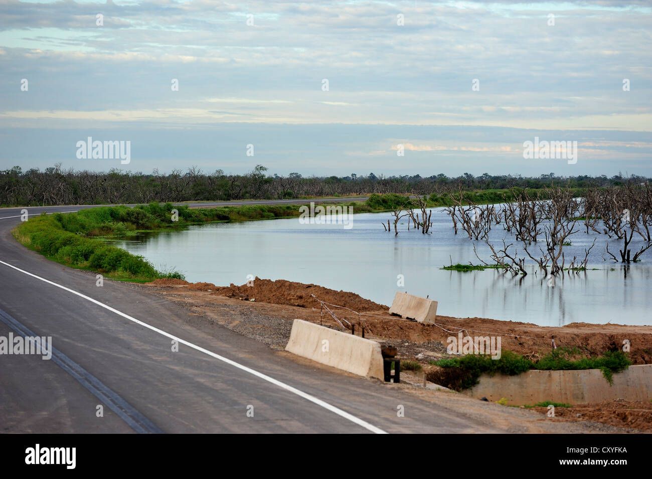 Una costruzione di strade progetto sostenuto dalla Banca Interamericana di Sviluppo (IDB, sui terreni alluvionali del fiume Pilcomayo, su Foto Stock