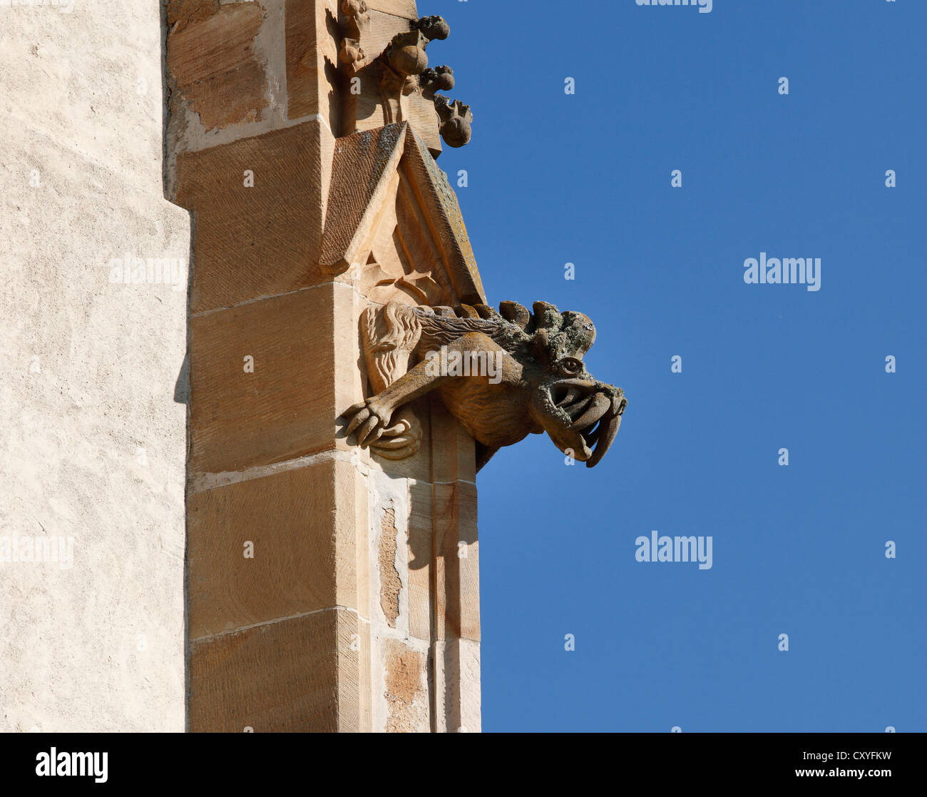 Doccioni sulla chiesa parrocchiale in stile gotico di 'Mary in Paradiso", San Marein vicino Knittelfeld, Stiria, Stiria, Austria, Europa Foto Stock