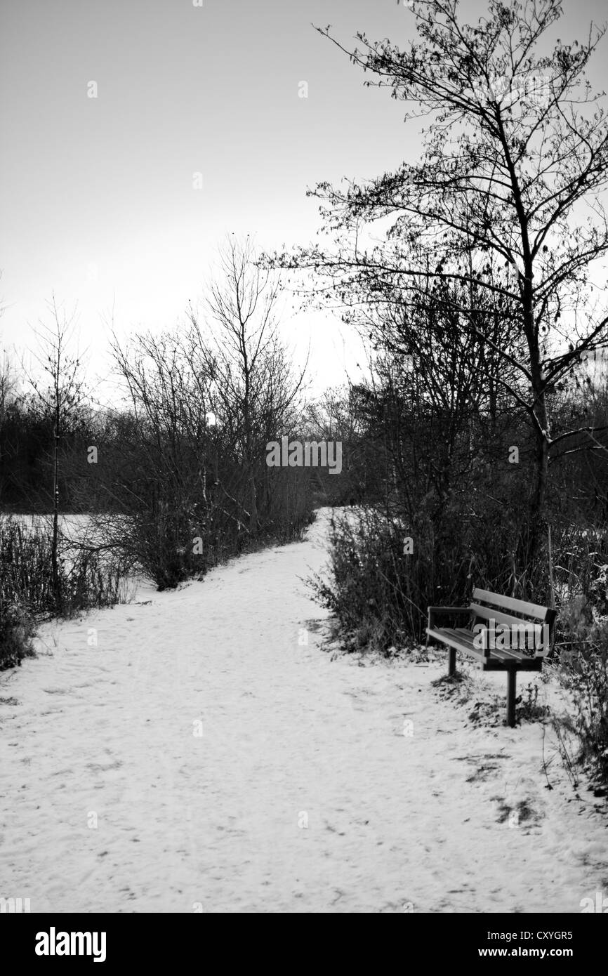 Scena invernale con una panchina nel parco in bianco e nero Foto Stock