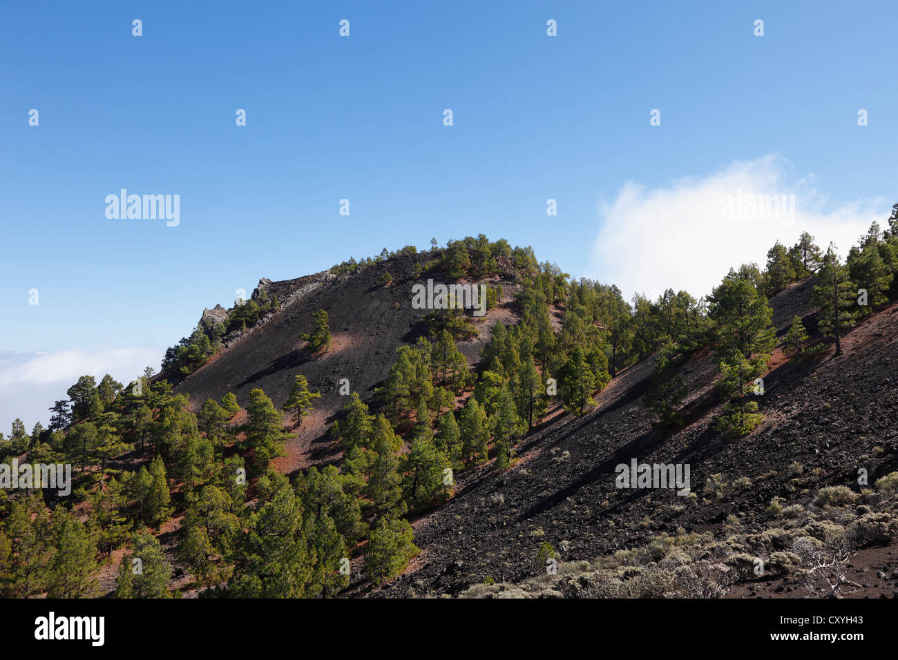 Pico Nambroque, Cumbre Vieja, La Palma Isole Canarie Spagna, Europa Foto Stock