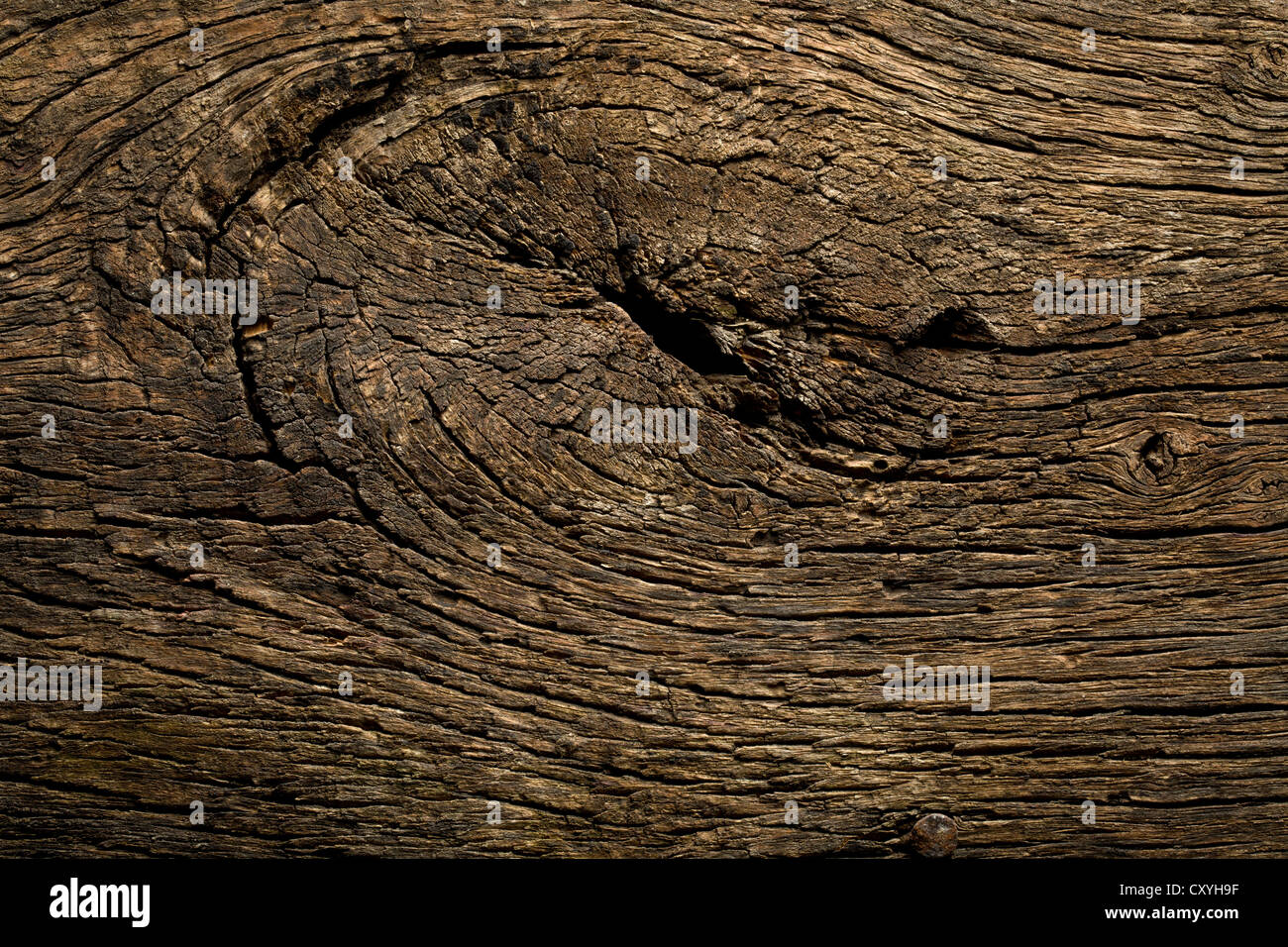 La texture del vecchio sfondo di legno Foto Stock