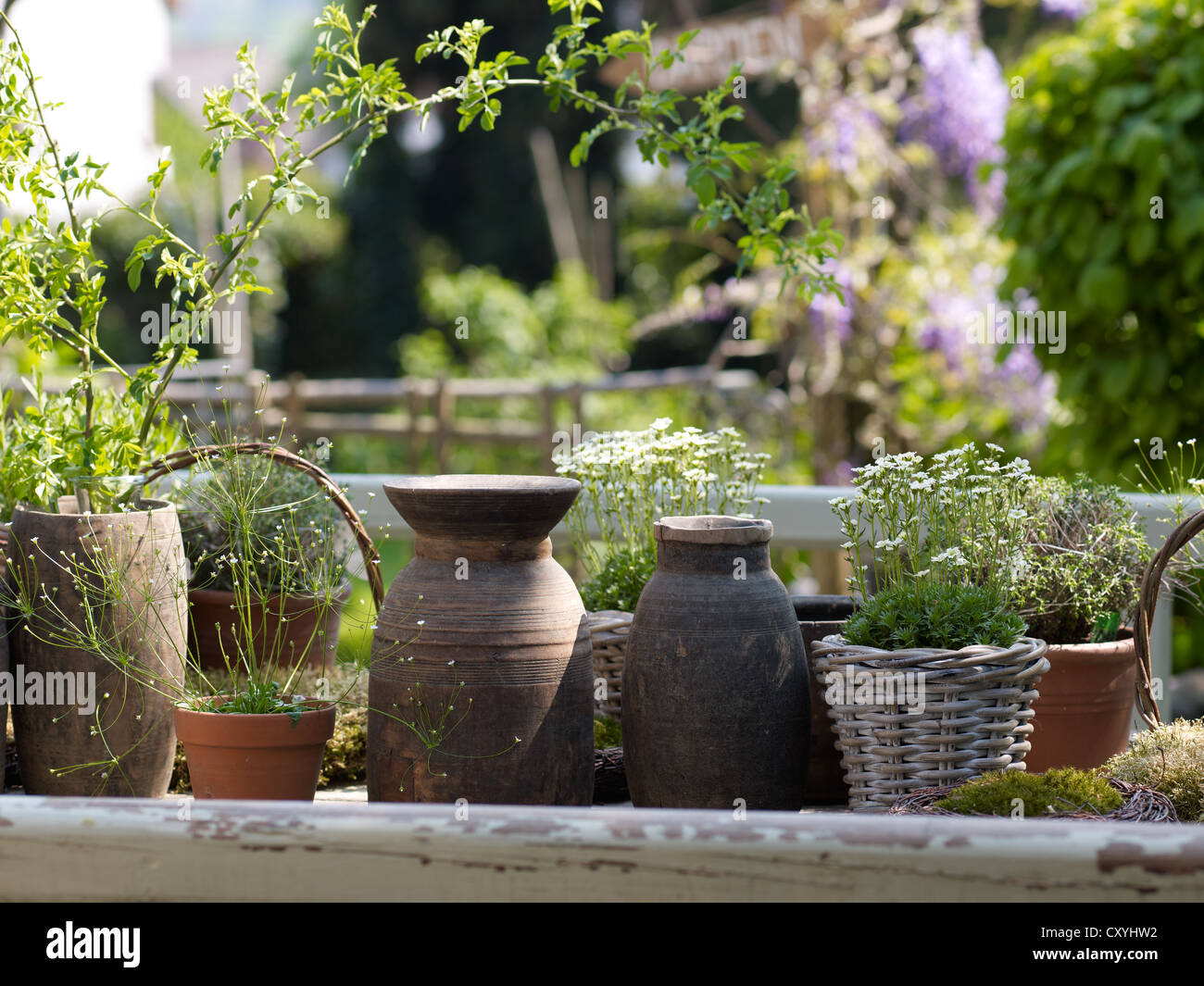 Still Life, vecchi vasi di ceramica e vasi di fiori realizzate in vimini in un romantico giardino Foto Stock