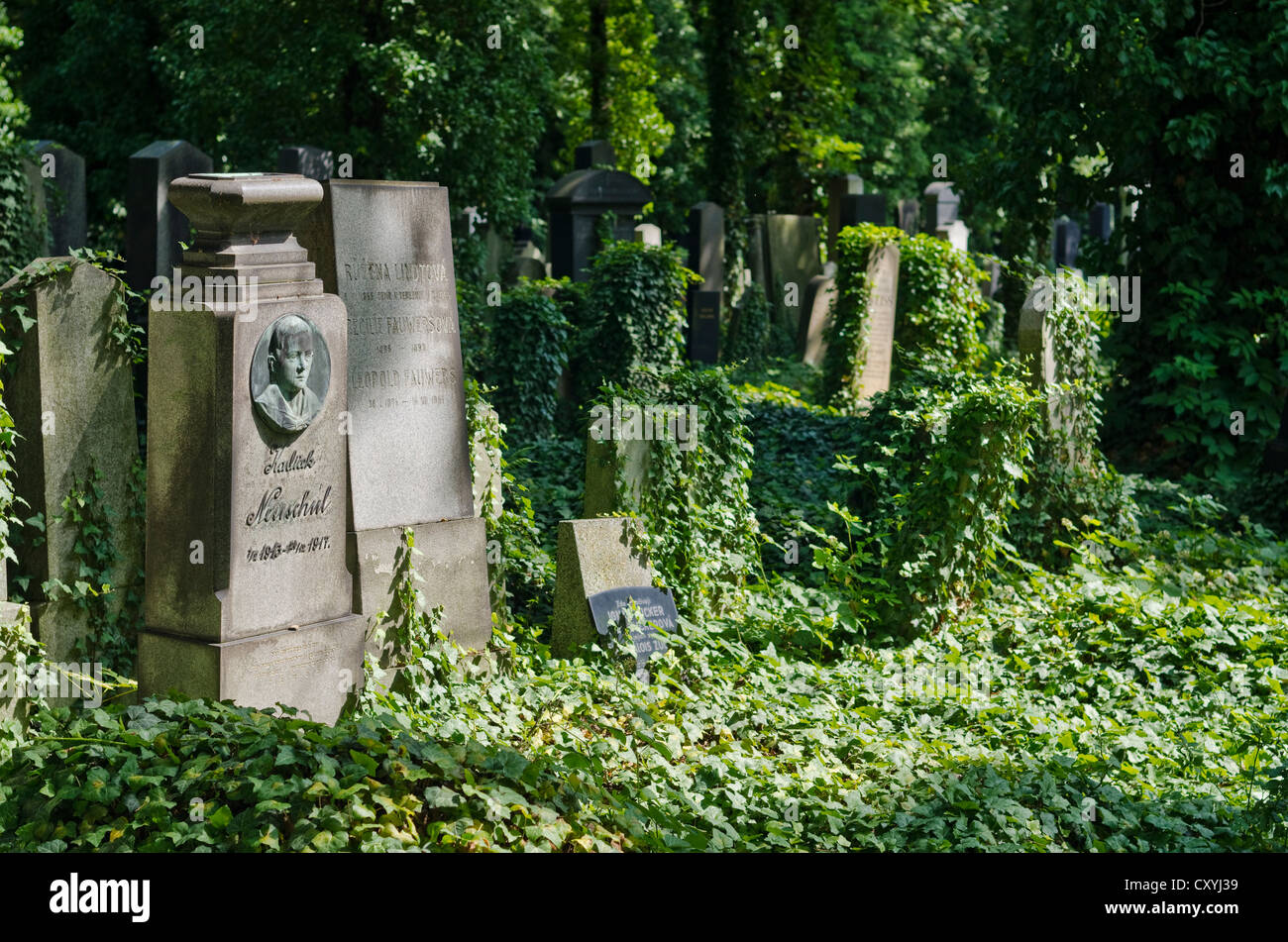 Il nuovo cimitero ebraico di Praga, Repubblica Ceca, Europa Foto Stock