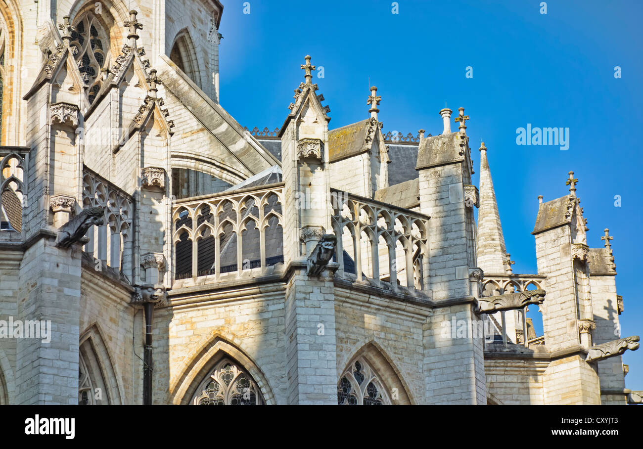 La chiesa di San Pietro in Leuven, Fiandre, in Belgio Foto Stock