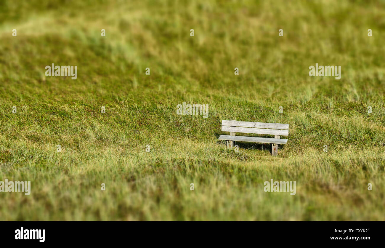 Lonely panca di legno in una duna Foto Stock