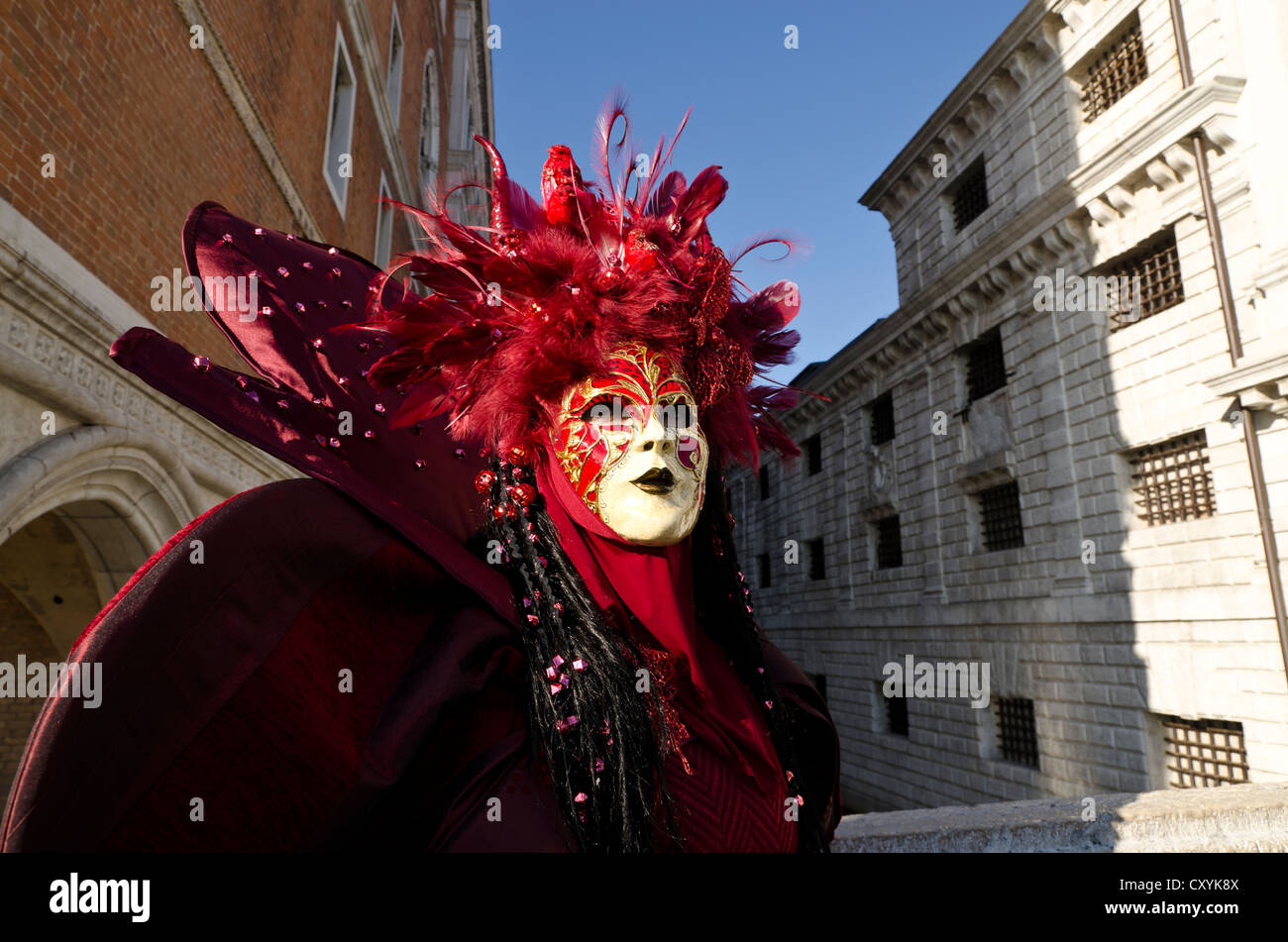 Maschera Veneziana, il Carnevale di Venezia, Venezia, Veneto, Italia, Europa Foto Stock