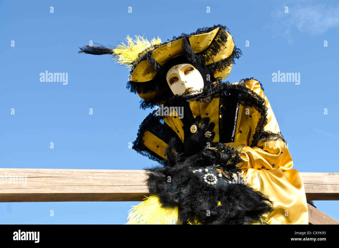 Maschera Veneziana, il Carnevale di Venezia, Venezia, Veneto, Italia, Europa Foto Stock