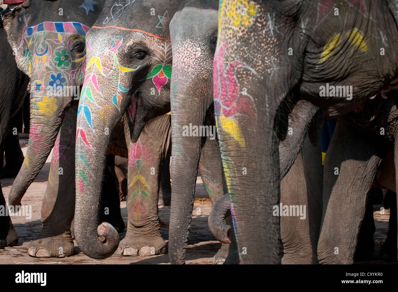 Dipinto di elefanti, Forte Amer, Ambra Fort o Ambra Palace Jaipur, Rajasthan, India, Asia Foto Stock