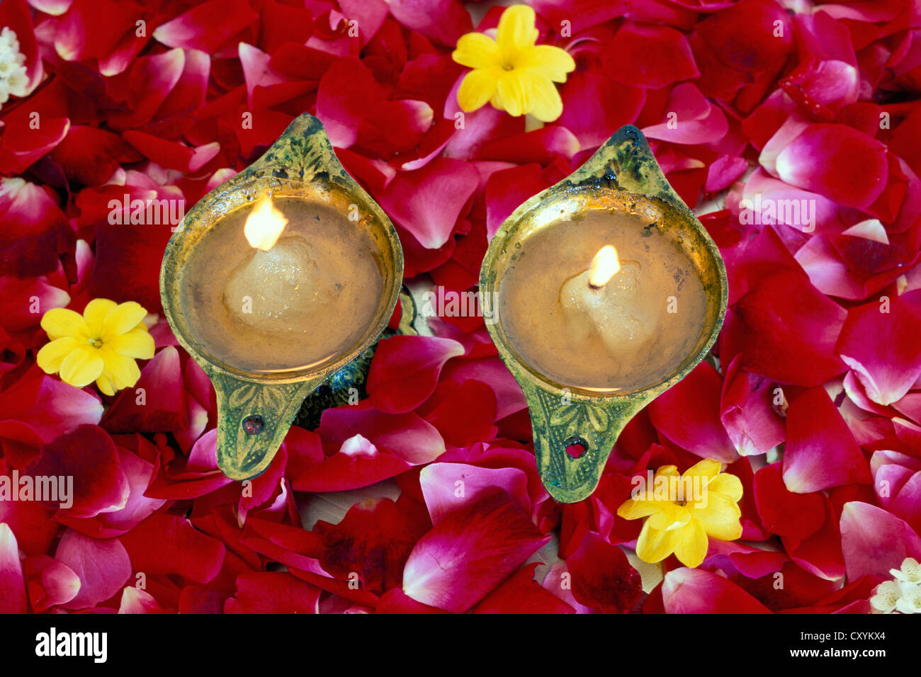 Lampade a olio, petali di rose, Rishikesh, Uttaranchal, Nord India, India, Asia Foto Stock