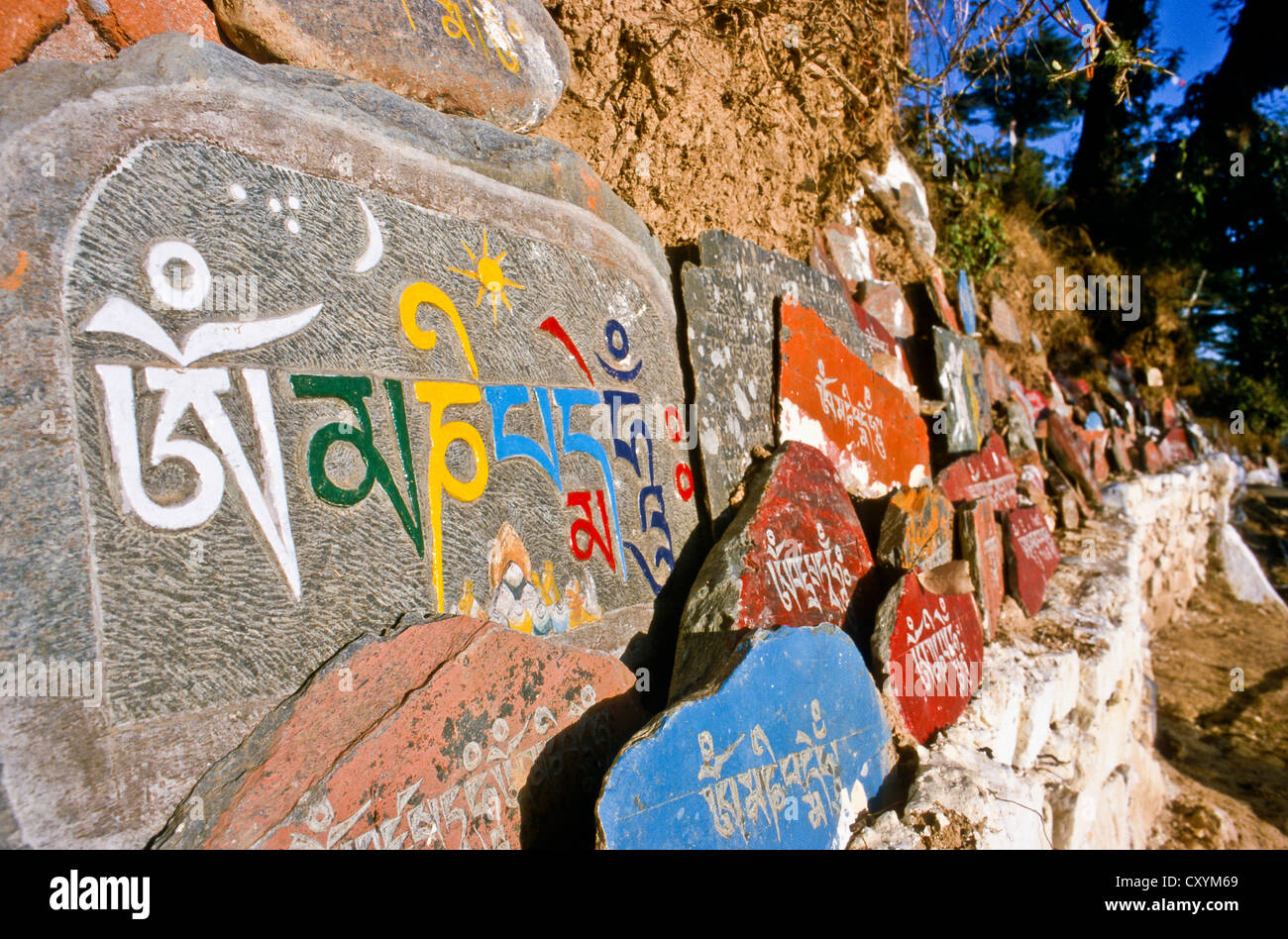 Mani di pietra con il mantra buddista di Avalokiteshwara, OM MANI PADME HUM Dharamsala, India, Asia Foto Stock