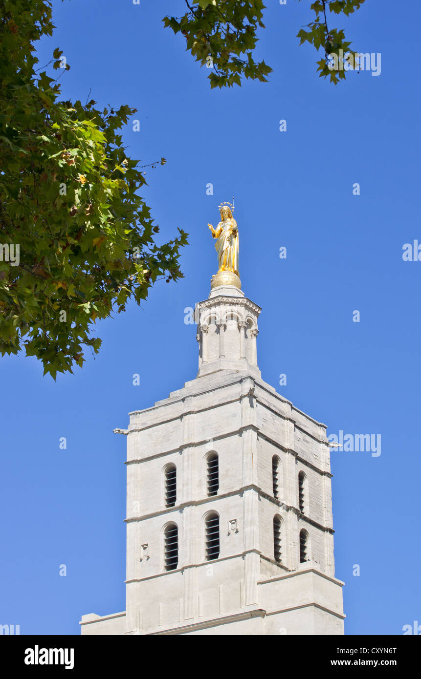 Avignon Notre Dame des Doms torre Dorata vergine Maria Foto Stock