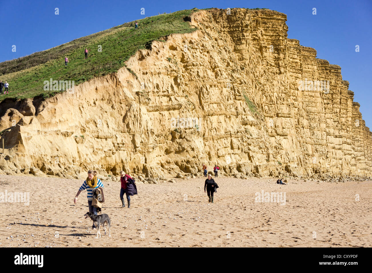 Golden Cap sulla scogliera Jurassic Coast a West Bay, Bridport, Dorset, Regno Unito Foto Stock
