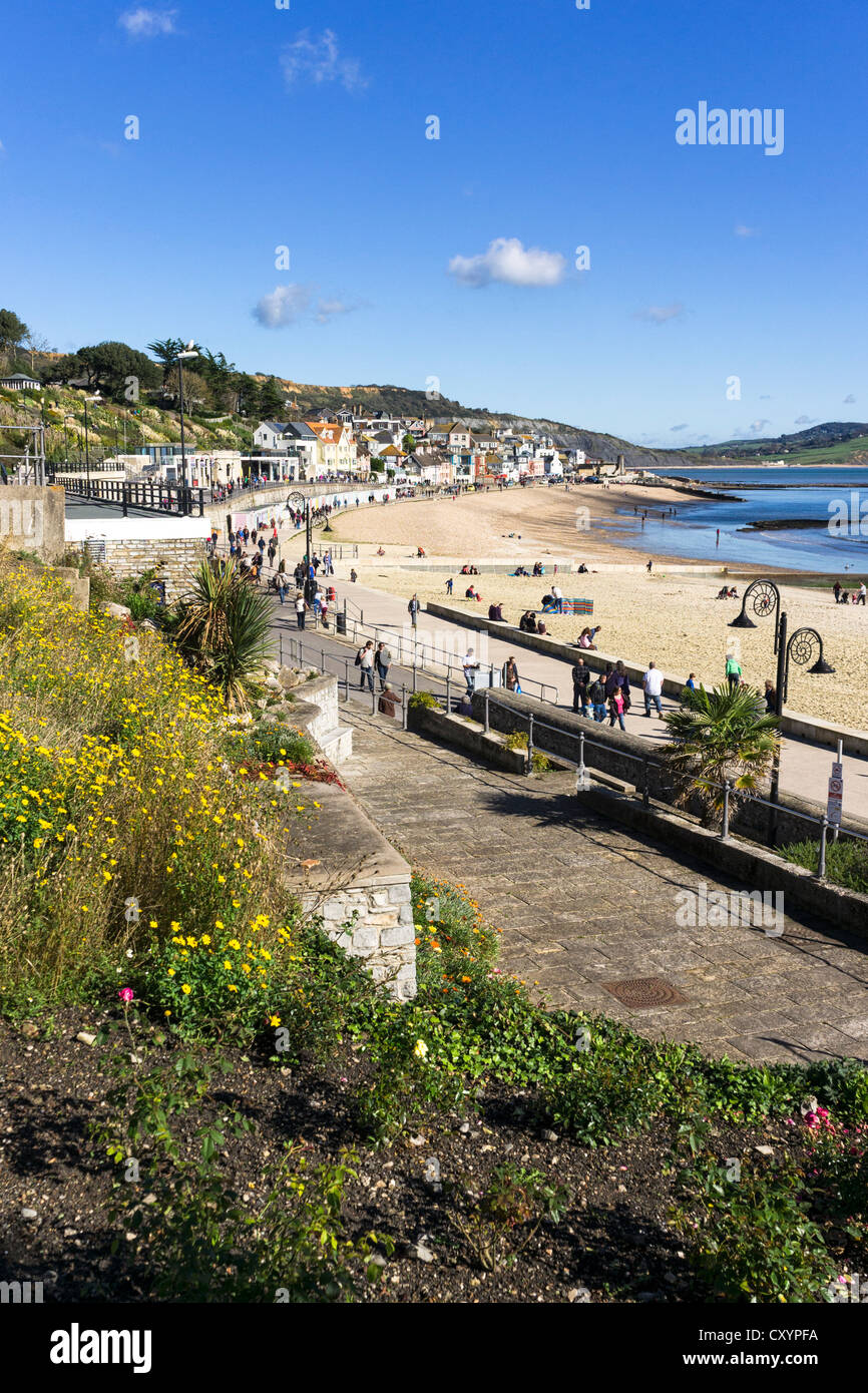 Lyme Regis bay e la città, Dorset, Regno Unito Foto Stock