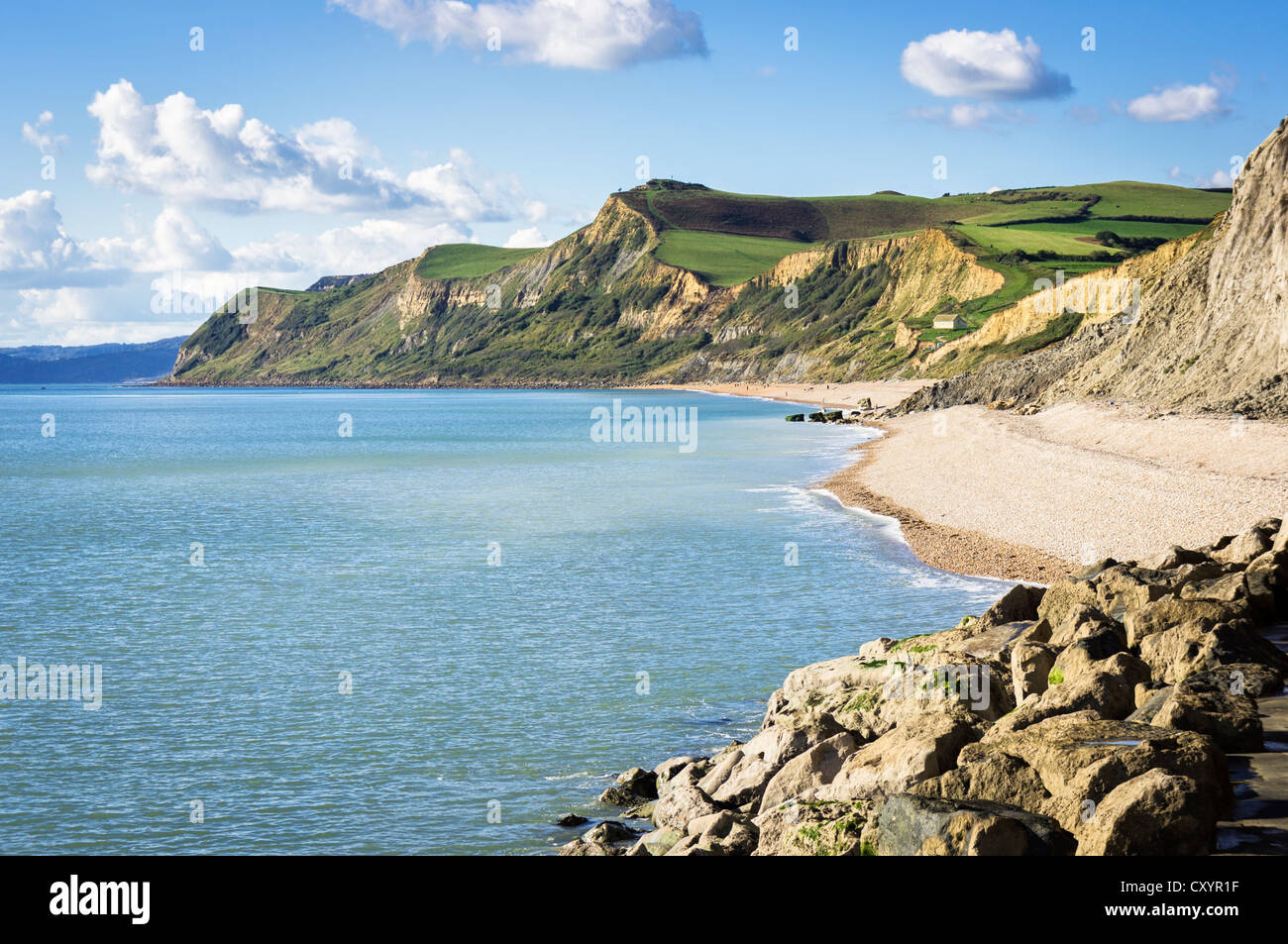 Vista lungo la Jurassic Coast - guardando da West Bay, Dorset verso Charmouth Bay, Regno Unito Foto Stock