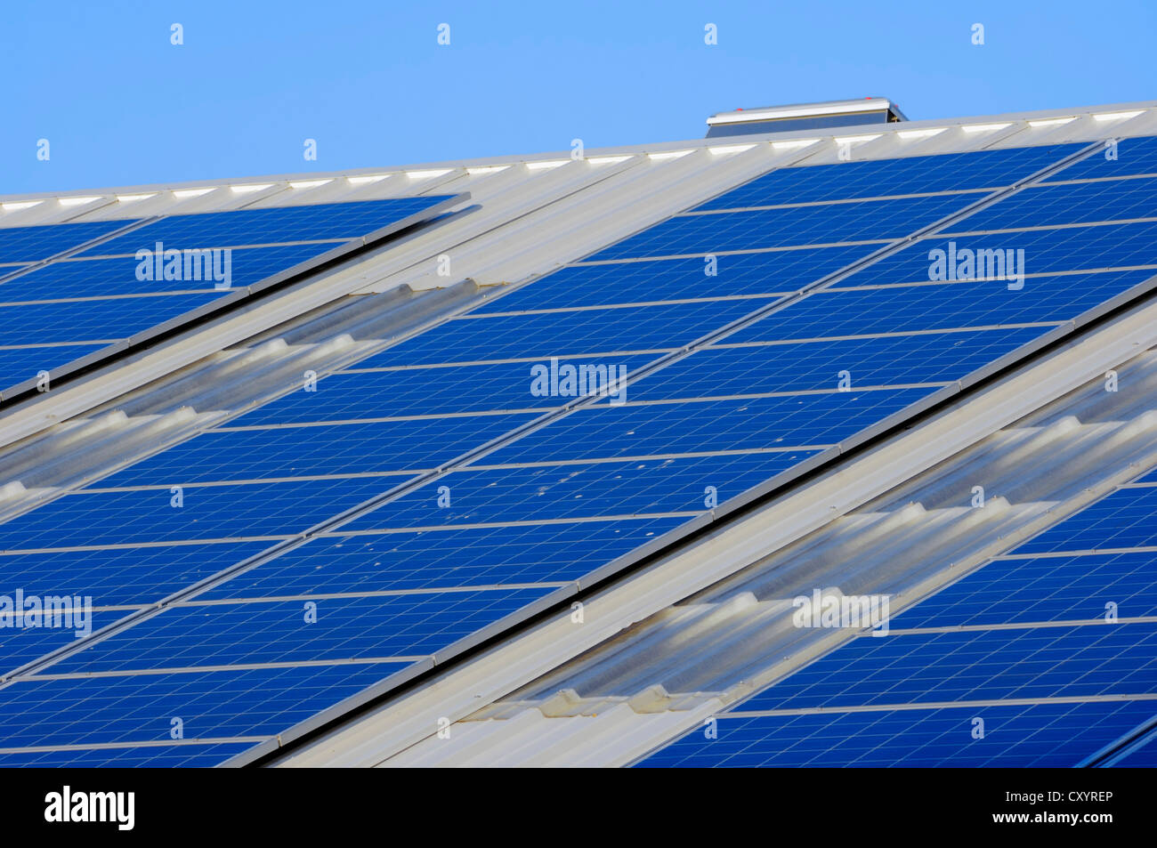 Impianto fotovoltaico, celle solari, pannelli solari sul tetto di una azienda, Renania settentrionale-Vestfalia, PublicGround Foto Stock